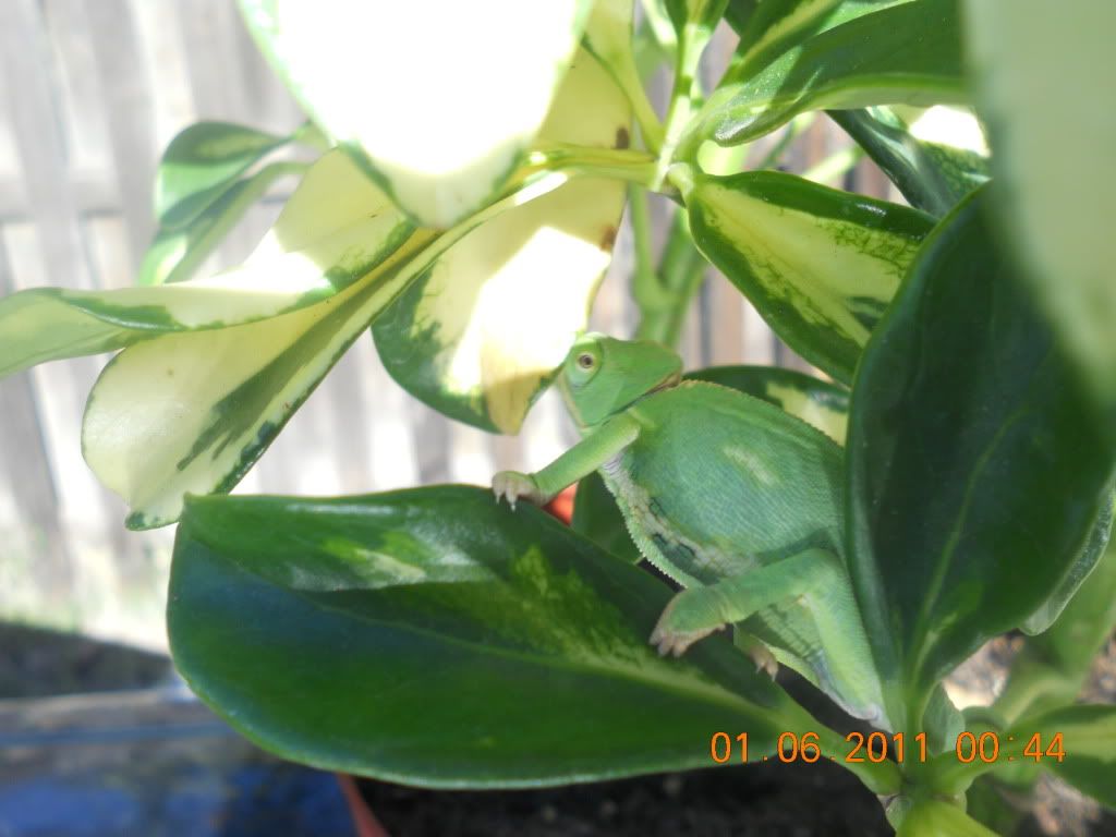 DSCN1226.jpg