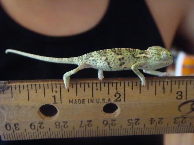 DSC03793.jpg