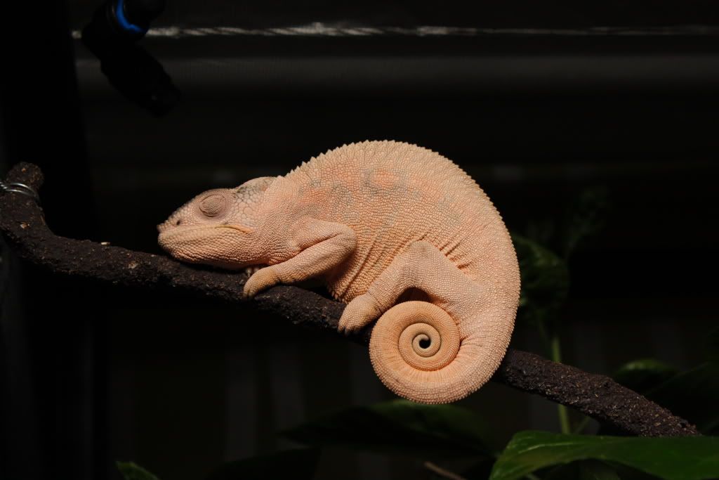 Kevin_50D_0116.jpg