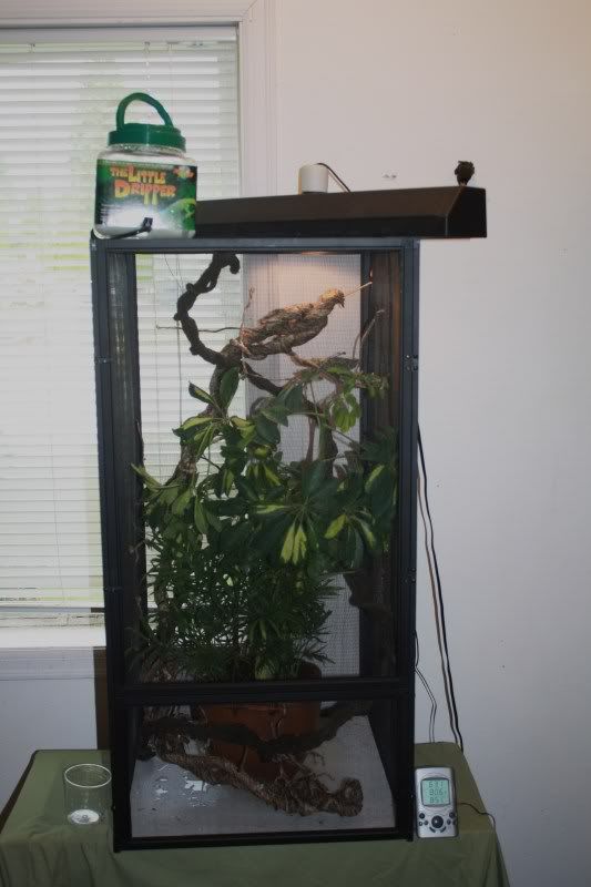newcage005.jpg