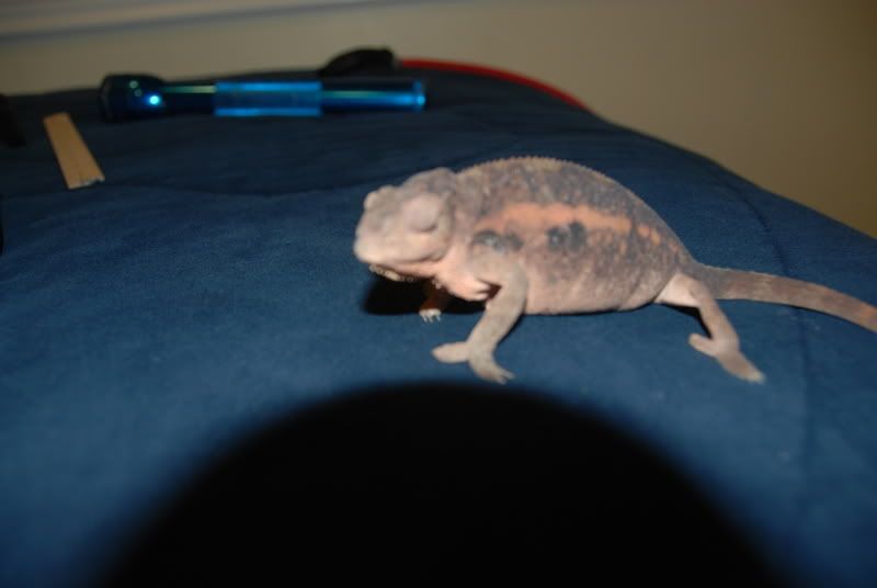 20070809063.jpg