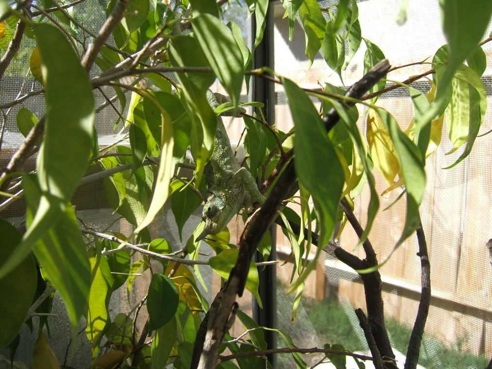 DSCF7771.jpg