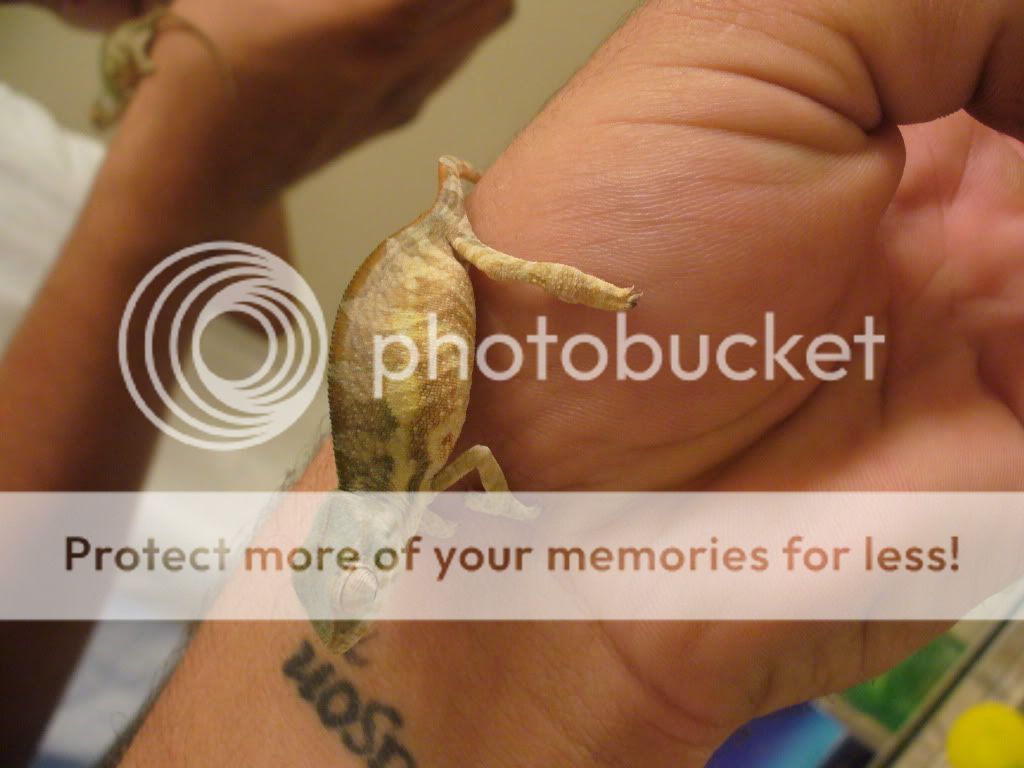 photos080.jpg