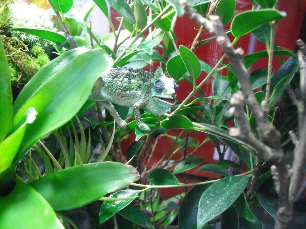 DSCF0107.jpg