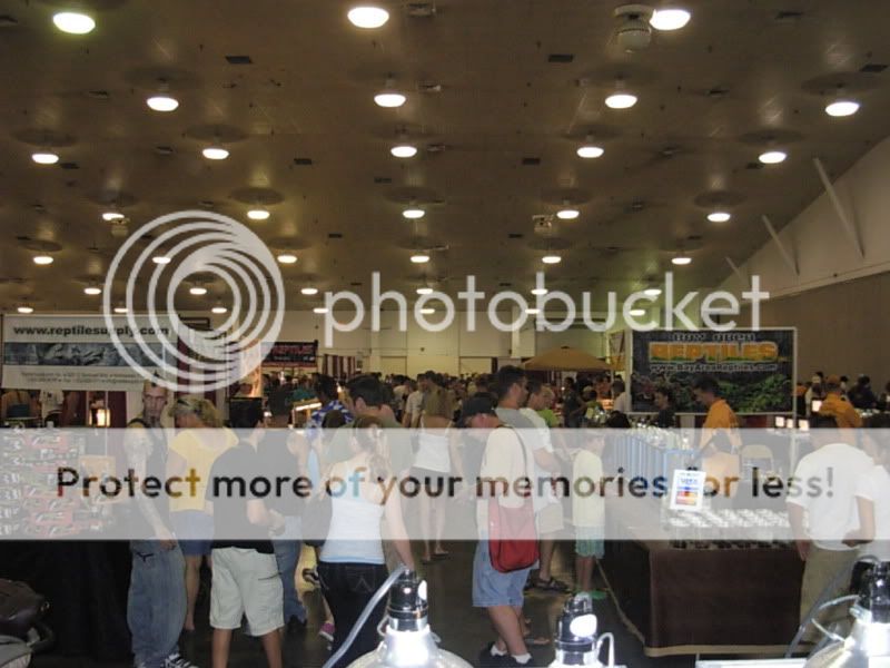 DSCN4358.jpg