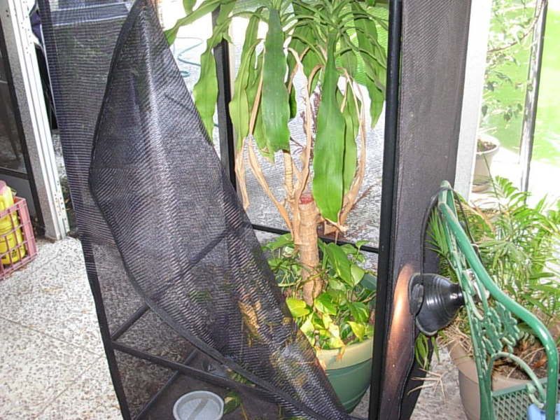 DSCN4089.jpg