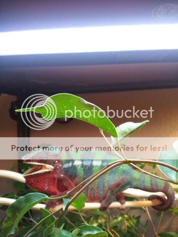 20120804_184507.jpg