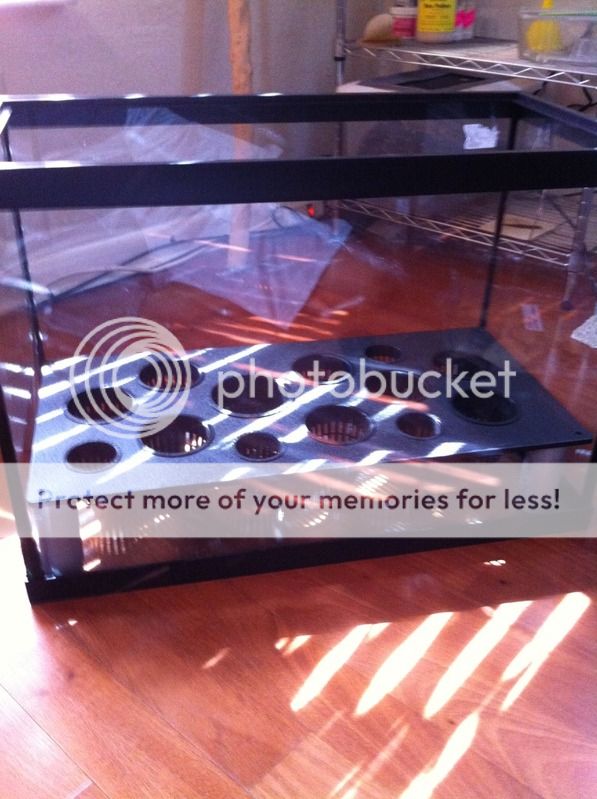 photo4.jpg