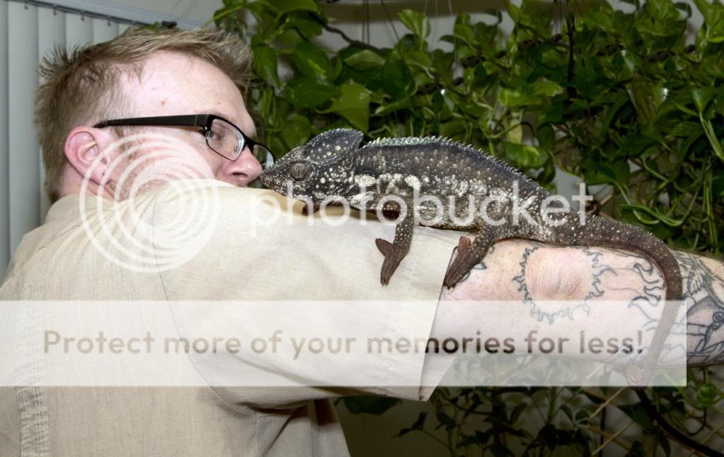 03042013_bogie_zps17e3b930.jpg