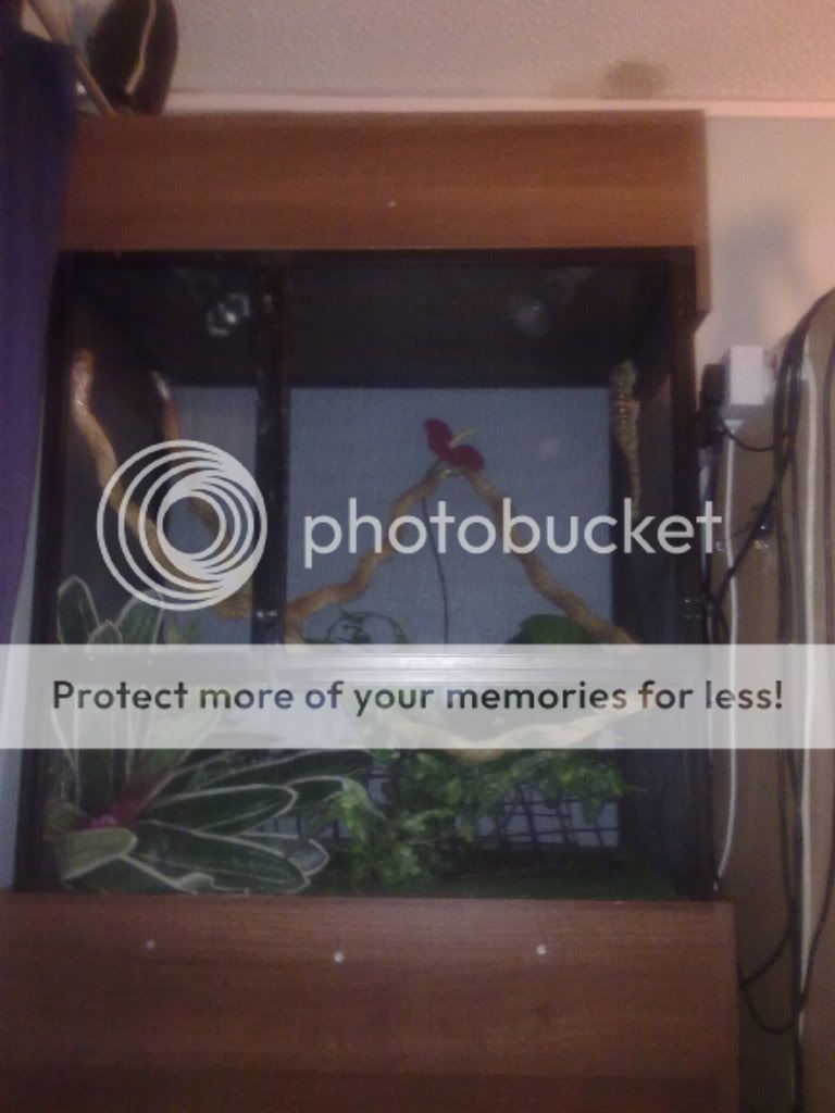 29062010071.jpg