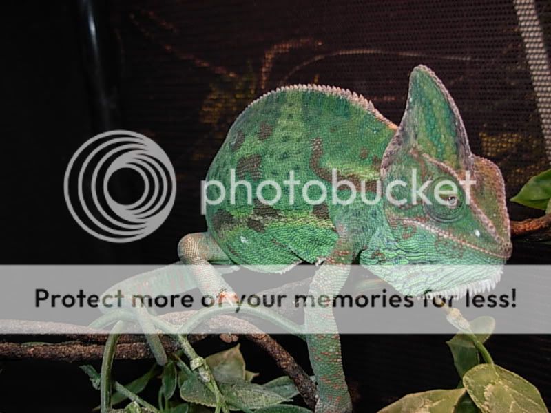 DSCN8146.jpg