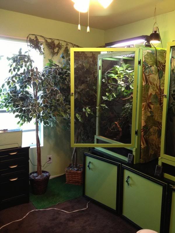 Room1.jpg