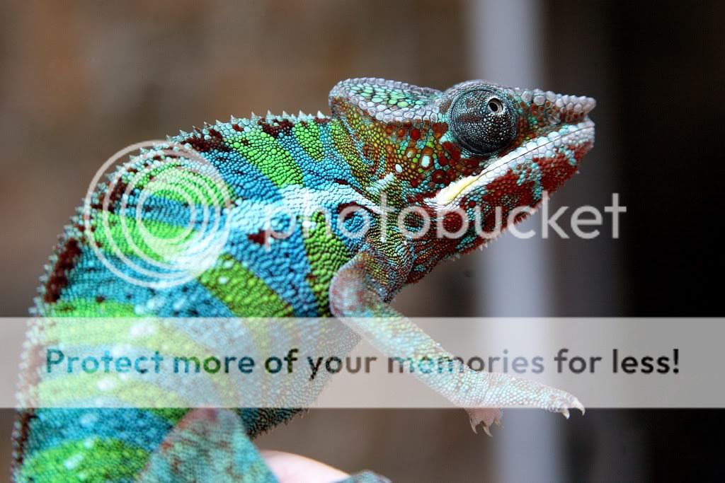 8e4dea1f.jpg
