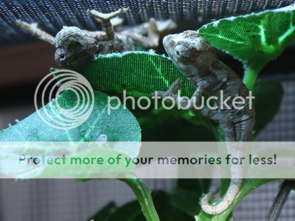 IMG_5487.jpg