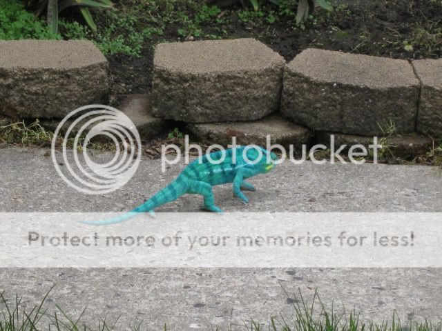 3346bb65921738893dd438faa21835be.jpg