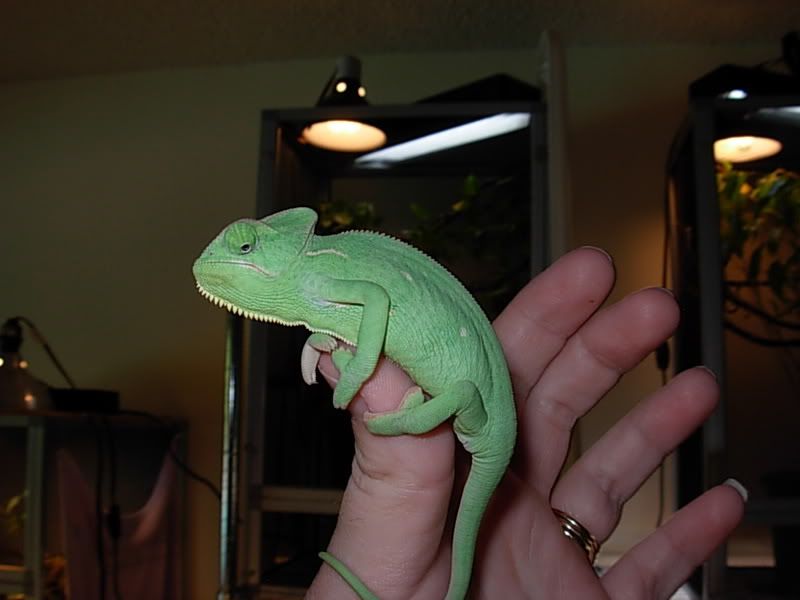 DSCN2415.jpg