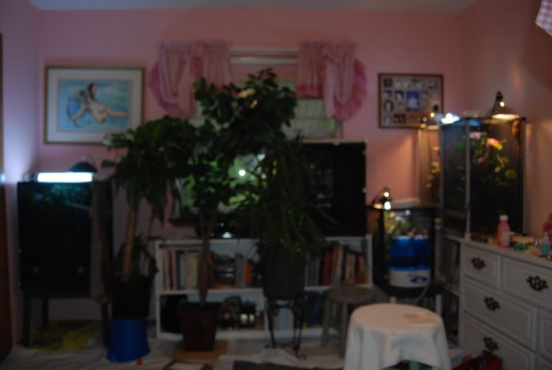 DSC_0039.jpg