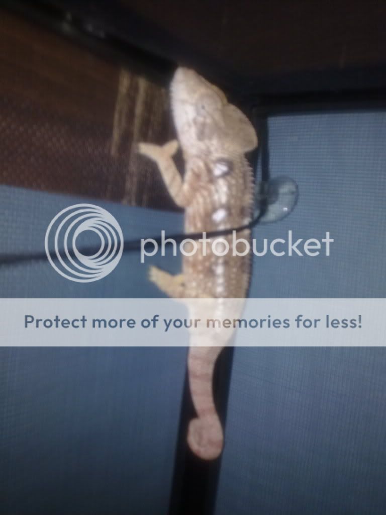 29062010072.jpg