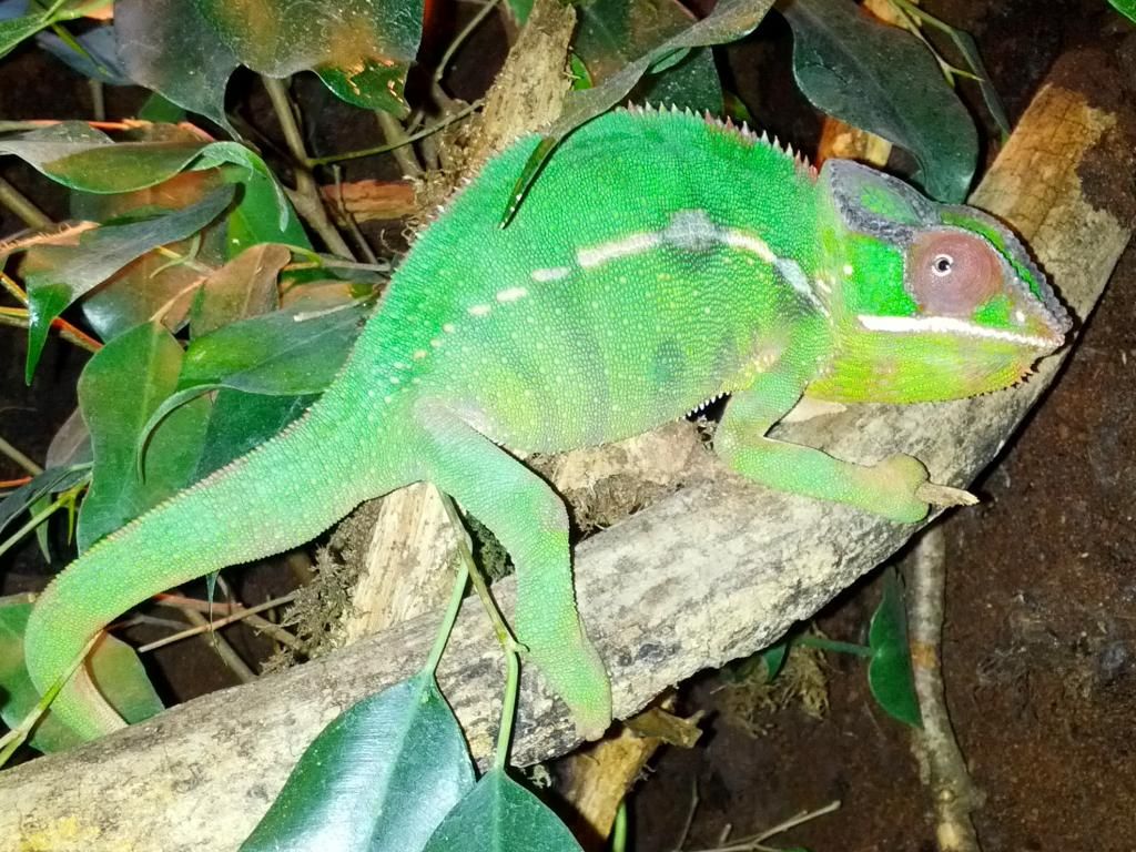 2012-11-10140622.jpg