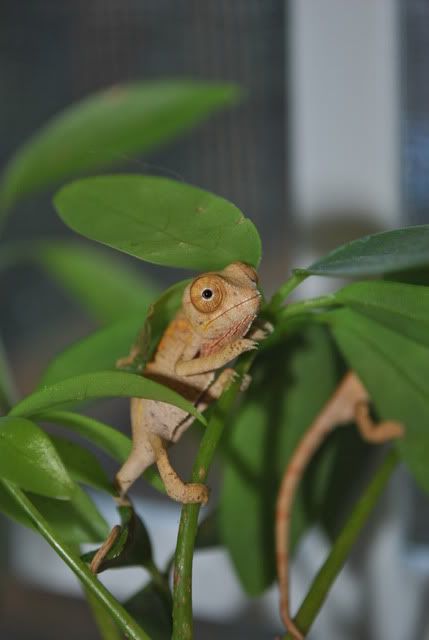 DSC_00797.jpg