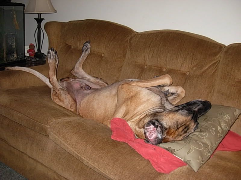 DSCN8266.jpg