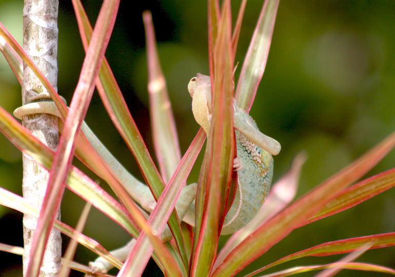 Outside210.jpg