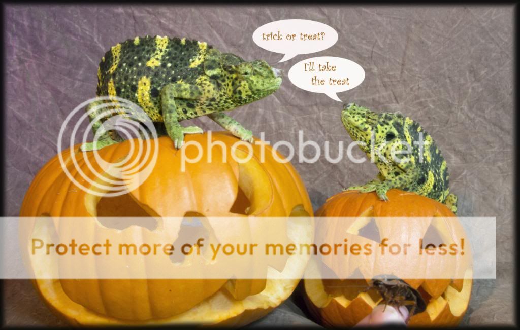 10282012_Cheech_Chongtrickortreat.jpg