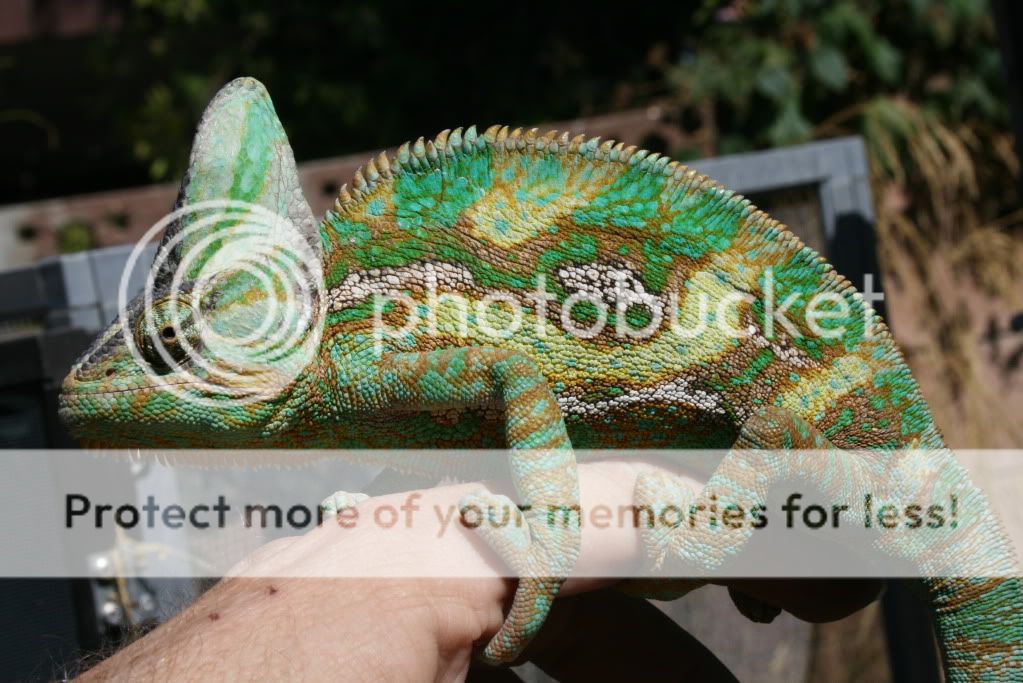 eospics9-19-09006-9.jpg