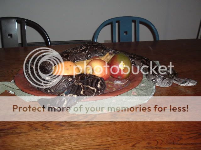 Dscf0487.jpg