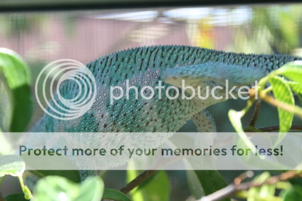 outsidepics008.jpg