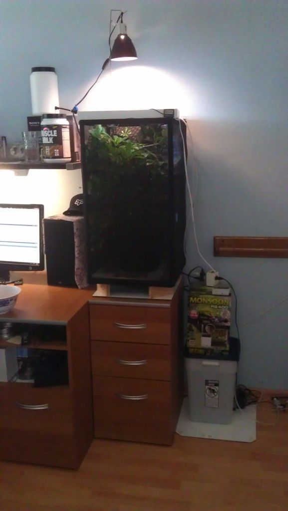 IMAG0272.jpg