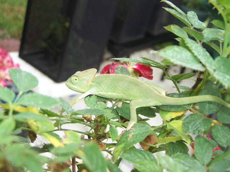 100_1061.jpg