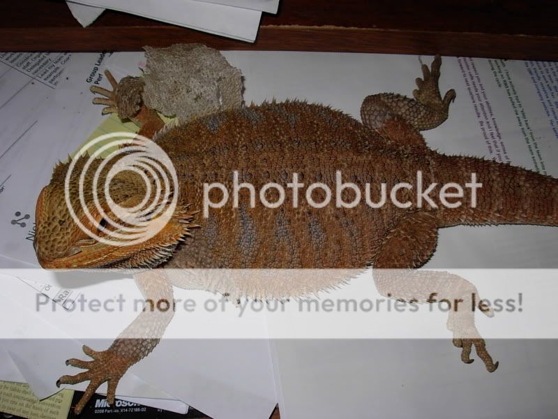 DSCN5731.jpg