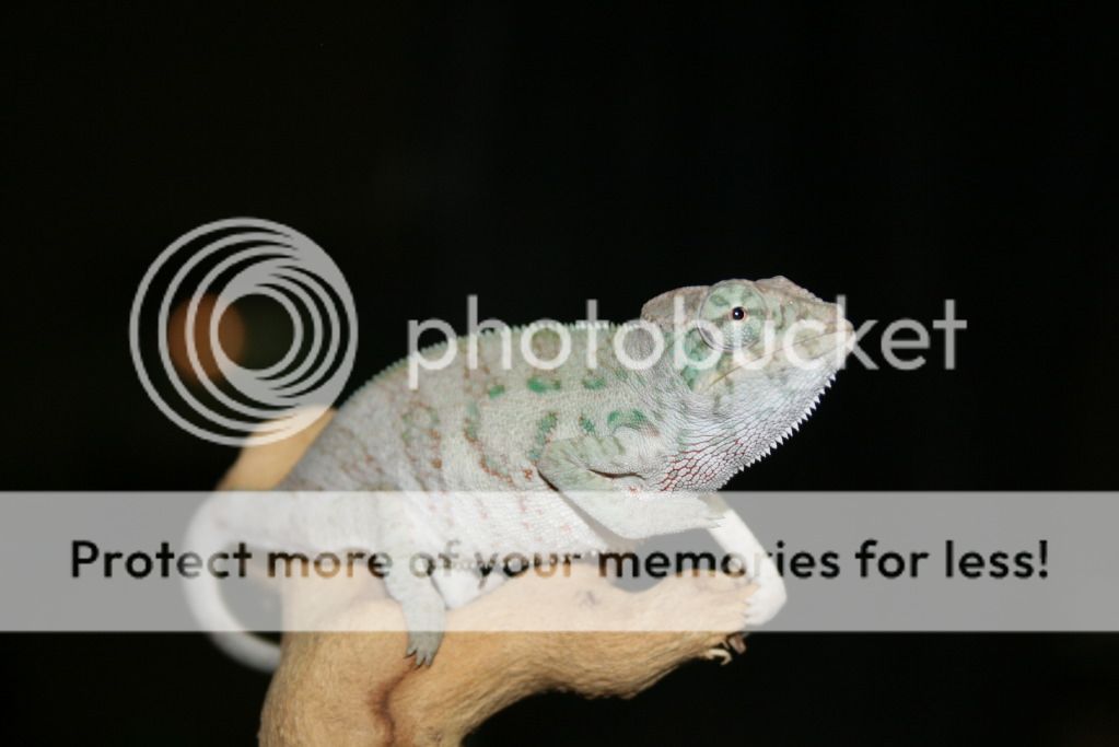 005-22.jpg