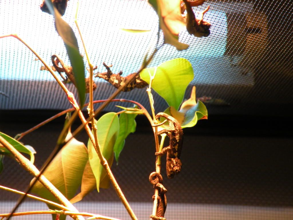 DSCN7240.jpg