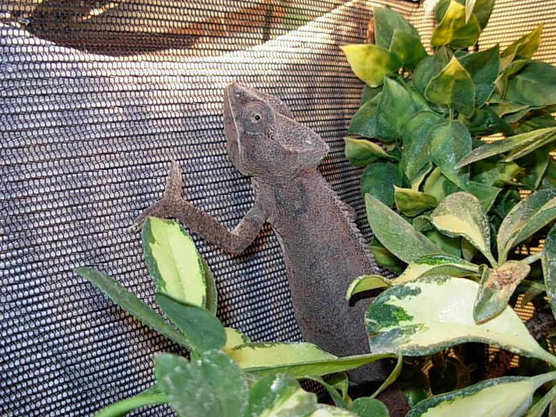 DSCN0805.jpg