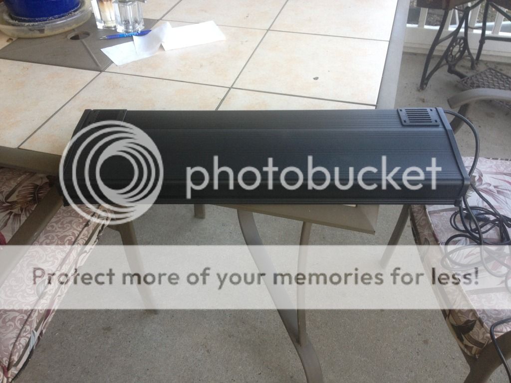 photo1.jpg