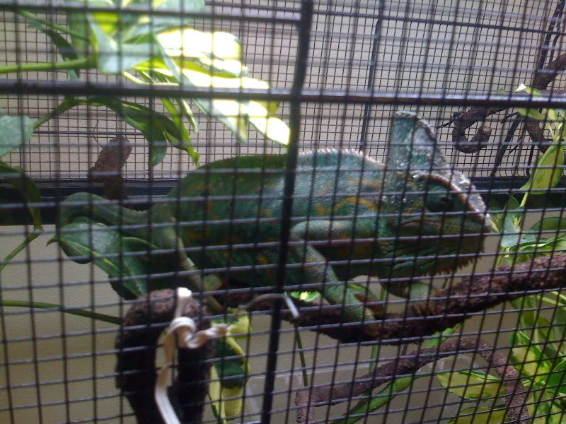 Picture036.jpg