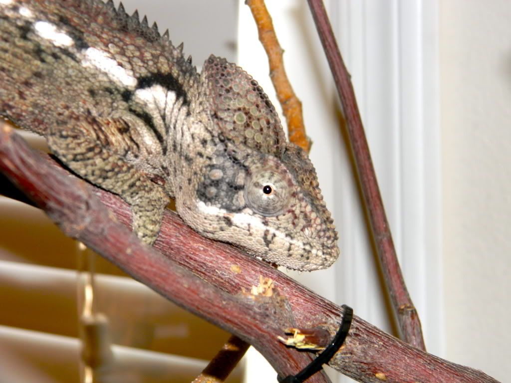 DSCN2075.jpg