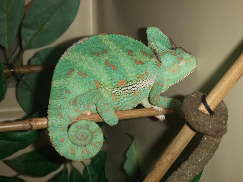 DSCF2499.jpg