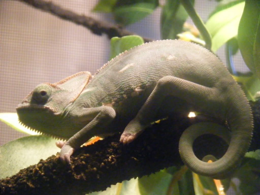 DSCF6390.jpg