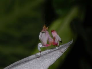 DSCN9430-1.jpg