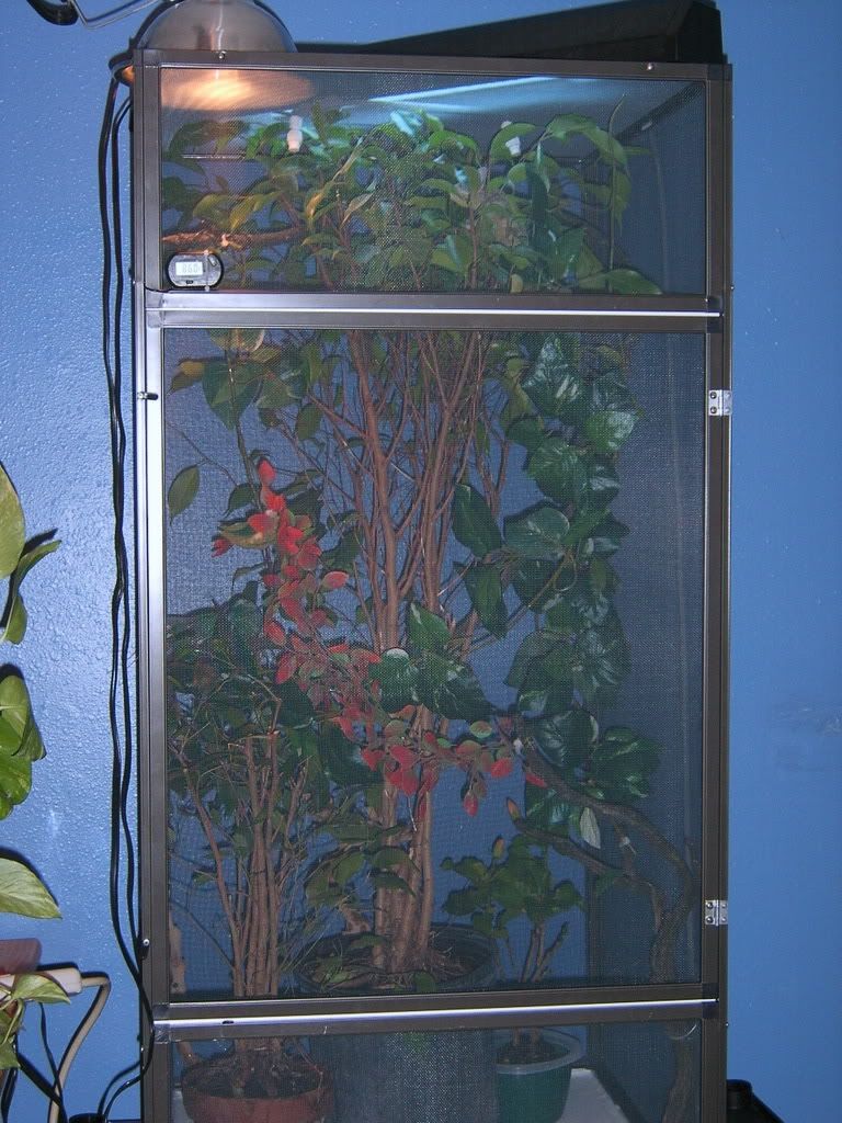 SA500801.jpg