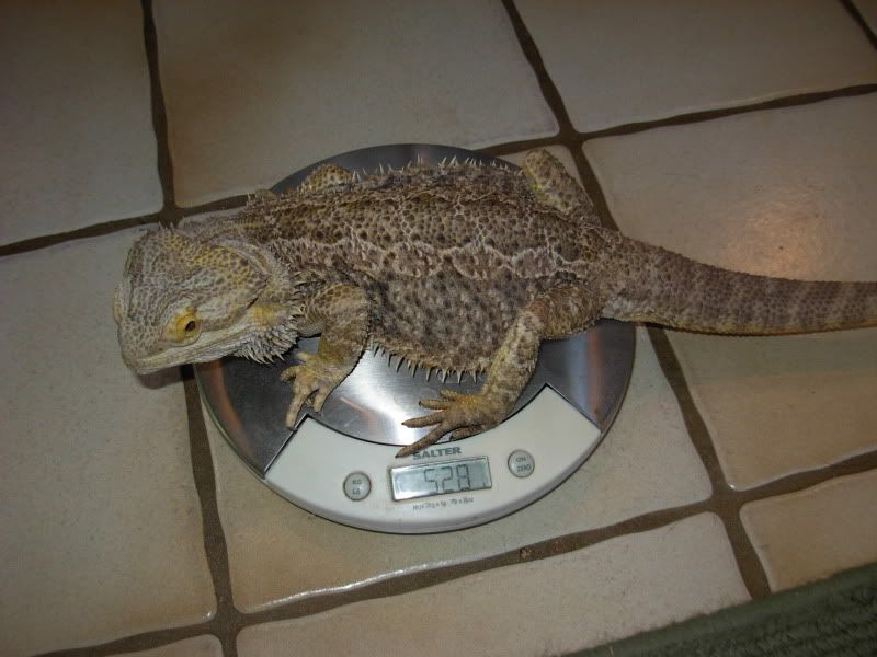DSCN8579.jpg