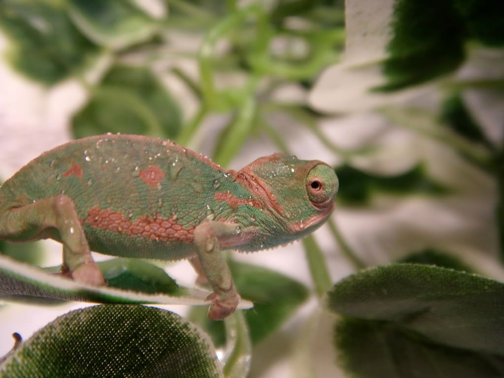 DSCN1379.jpg