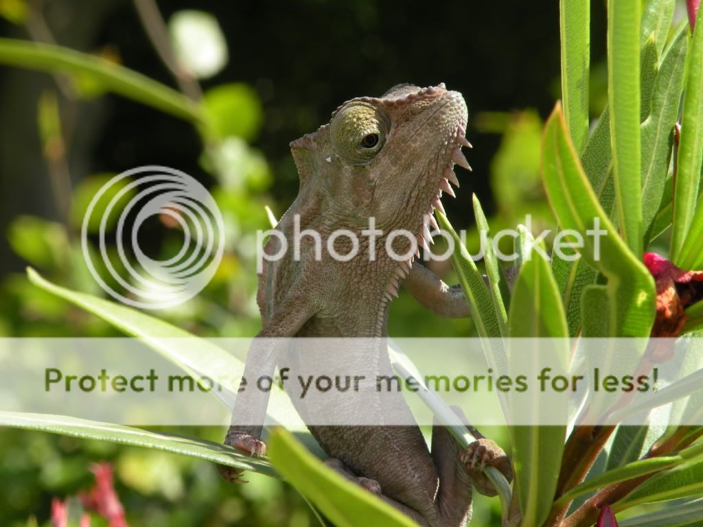 DSCN8213.jpg