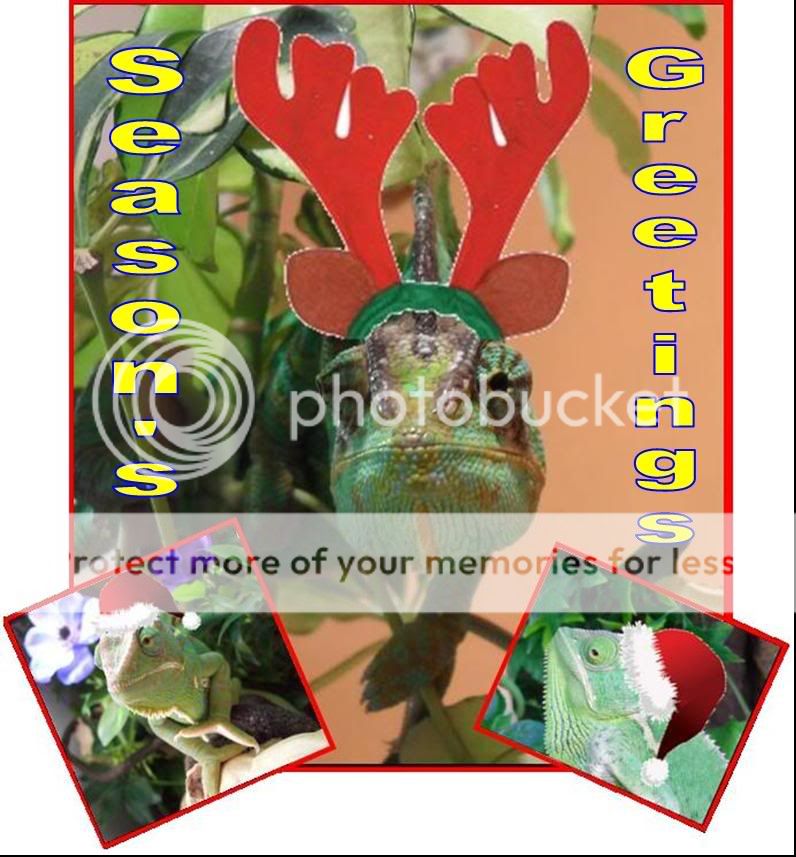 ChamsGreetings.jpg