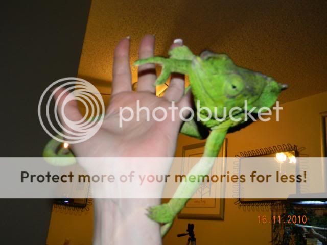 20101116_23.jpg