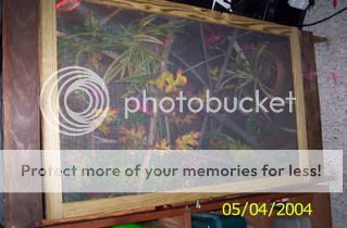 Picture012.jpg