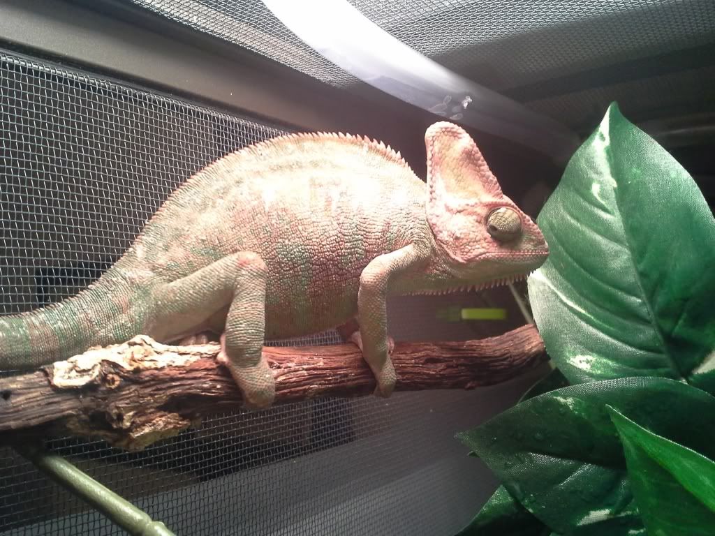 20130507_063822.jpg
